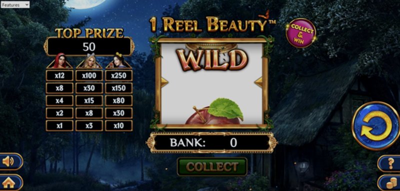 Play 1 Reel Beauty by Spinomenal at 1Win Casino