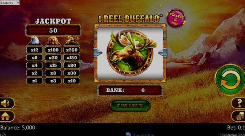 Play 1 Reel Buffalo by Spinomenal at 1Win Casino