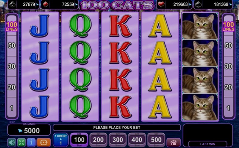 Play 100 Cats by Amusnet Interactive at 1Win Casino