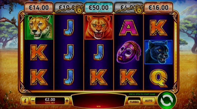 Play African Cats by Rubyplay at 1Win Casino