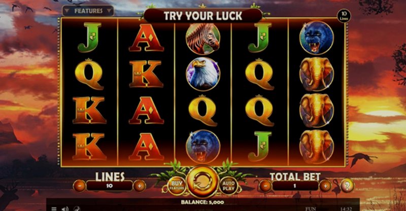 Play African Fortune by Spinomenal at 1Win Casino