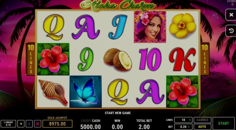 Play Aloha Charm by Fazi at 1Win Casino