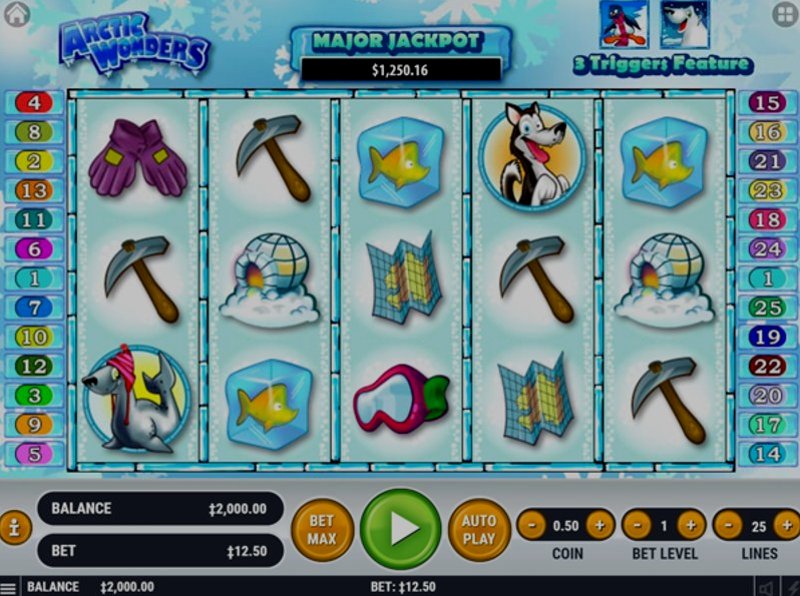 Play Arctic Wonders by Habanero at 1Win Casino