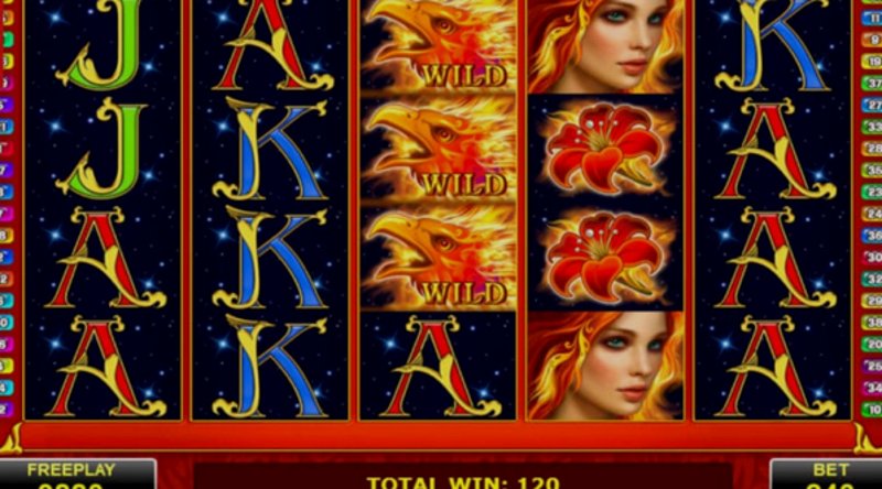 Play Arising Phoenix by Amatic at 1Win Casino