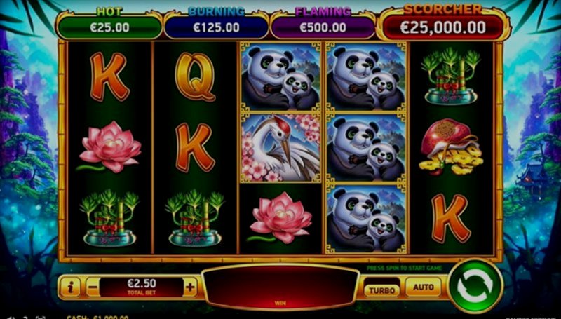 Play Bamboo Fortune by Rubyplay at 1Win Casino