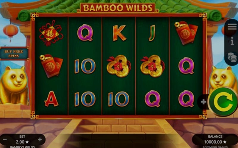 Play Bamboo Wilds by Booming at 1Win Casino