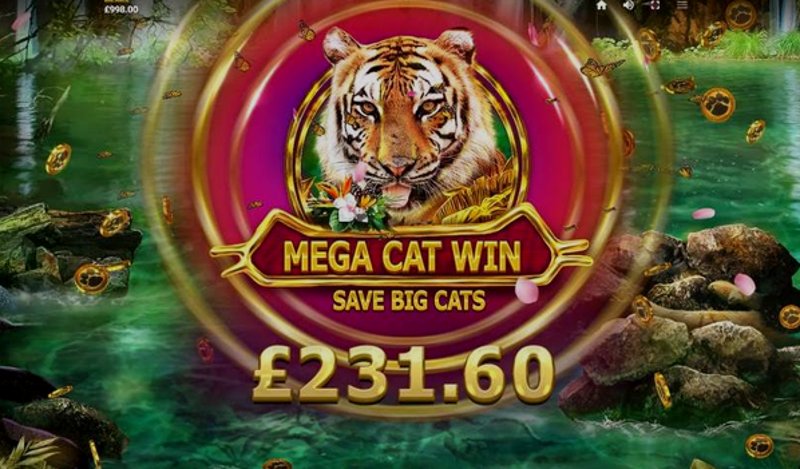 Play Big Cat Rescue Megaways by Redtiger at 1Win Casino