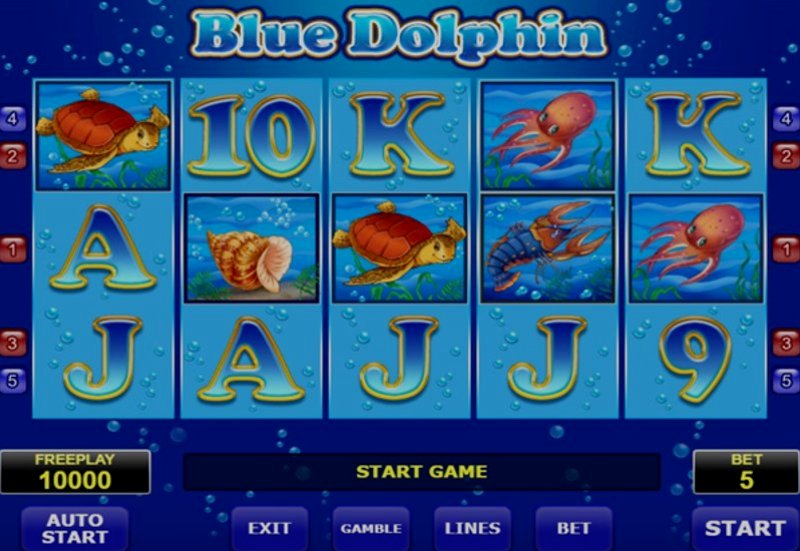 Play Blue Dolphin by Amatic at 1Win Casino