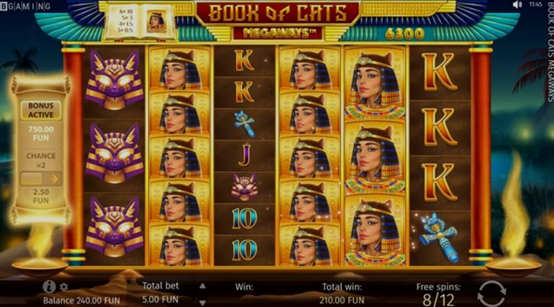 Play Book Of Cats by Bgaming at 1Win Casino