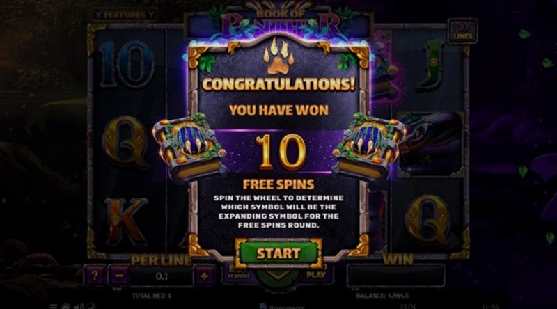 Play Book Of Panther by Spinomenal at 1Win Casino