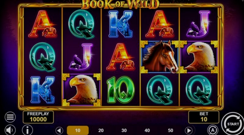 Play Book of Wild by 1spin4win at 1Win Casino