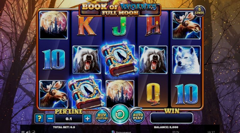 Play Book Of Wolves by Spinomenal at 1Win Casino