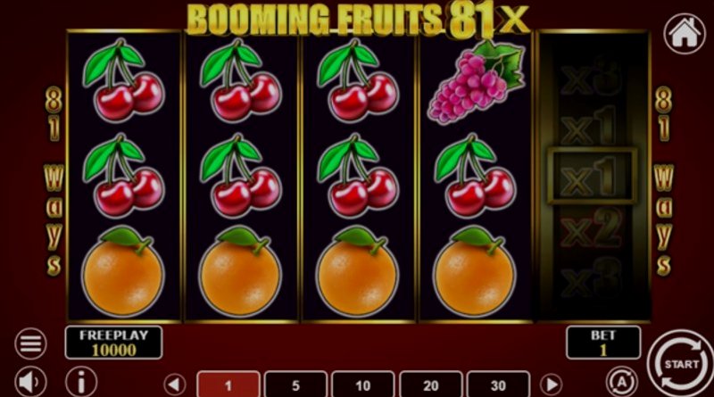 Play Booming Fruits 81x by 1spin4win at 1Win Casino