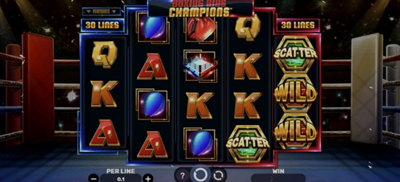 Play Boxing Ring Champions by Champion at 1Win Casino