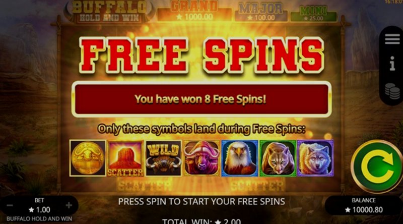 Play Buffalo Hold and Win by Booming at 1Win Casino