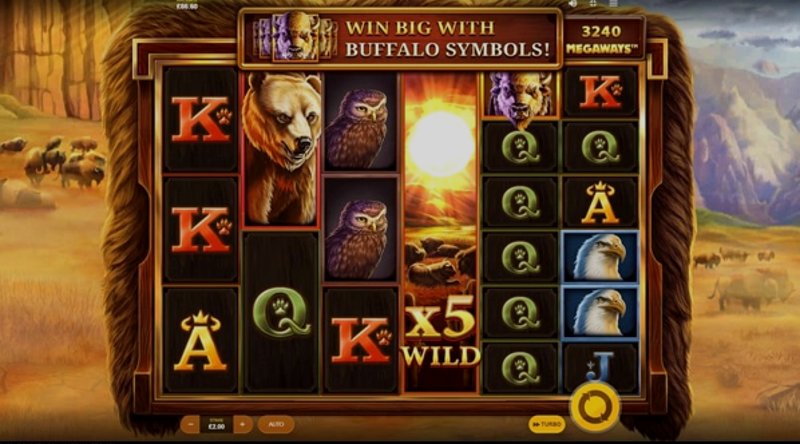 Play Buffalo Mania MegaWays by Red Tiger at 1Win Casino