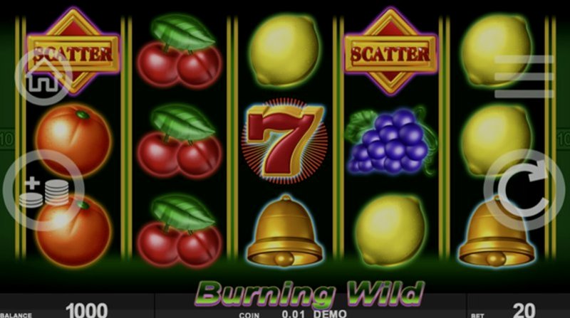 Play Burning Wild by Spinthon at 1Win Casino