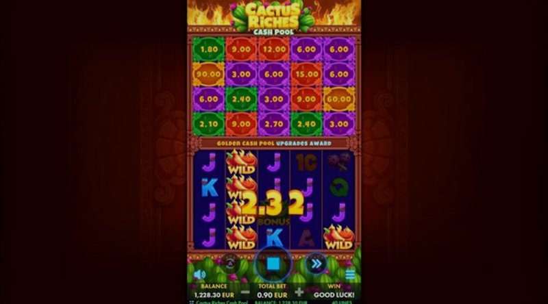 Play Cactus Riches: Cash Pool by Netgame at 1Win Casino