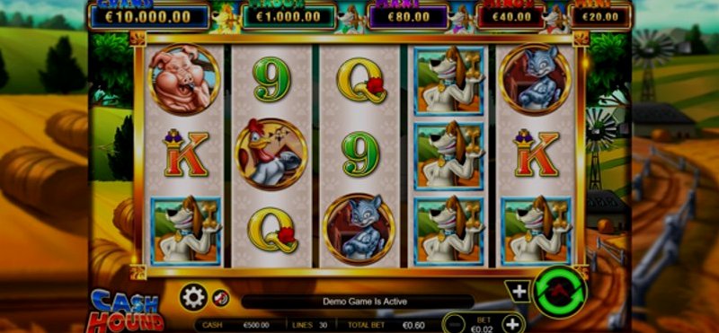 Play Cash Hound by Ainsworthgame at 1Win Casino