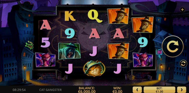 Play Cat Gangster by High5 at 1Win Casino