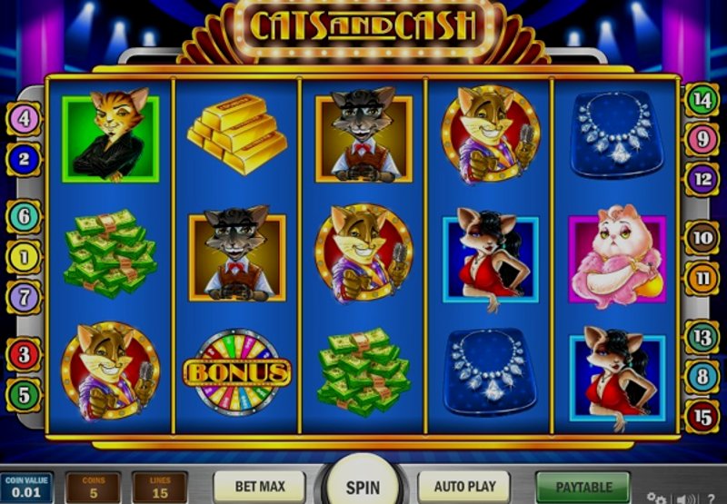 Play Cats and Cash by Playn Go at 1Win Casino