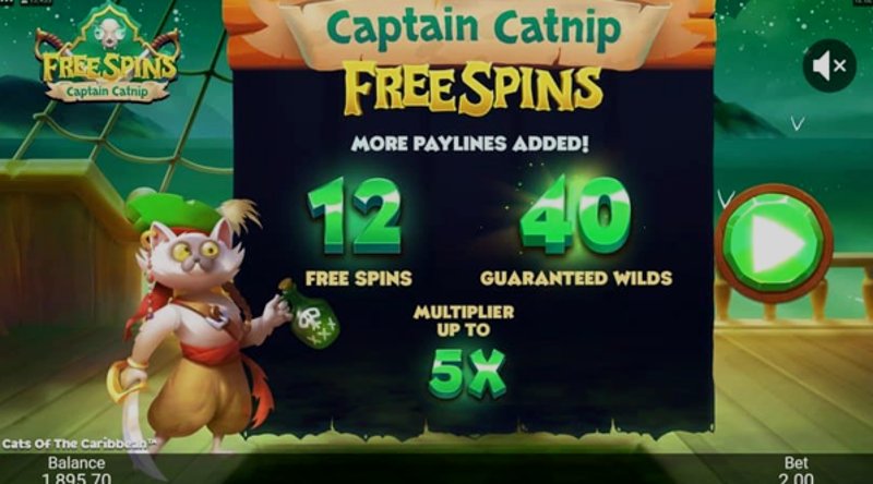 Play Cats of the Caribbean by Games Global at 1Win Casino