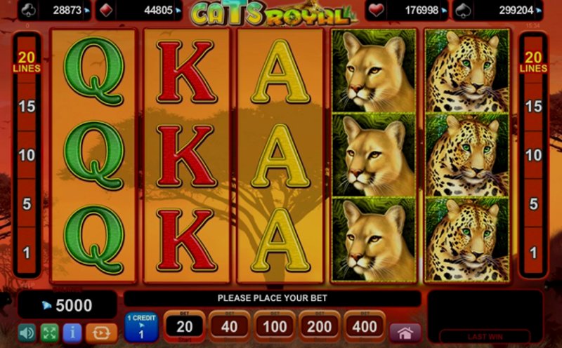 Play Cats Royal by Amusnet at 1Win Casino