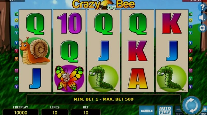 Play Crazy Bee by Amatic at 1Win Casino