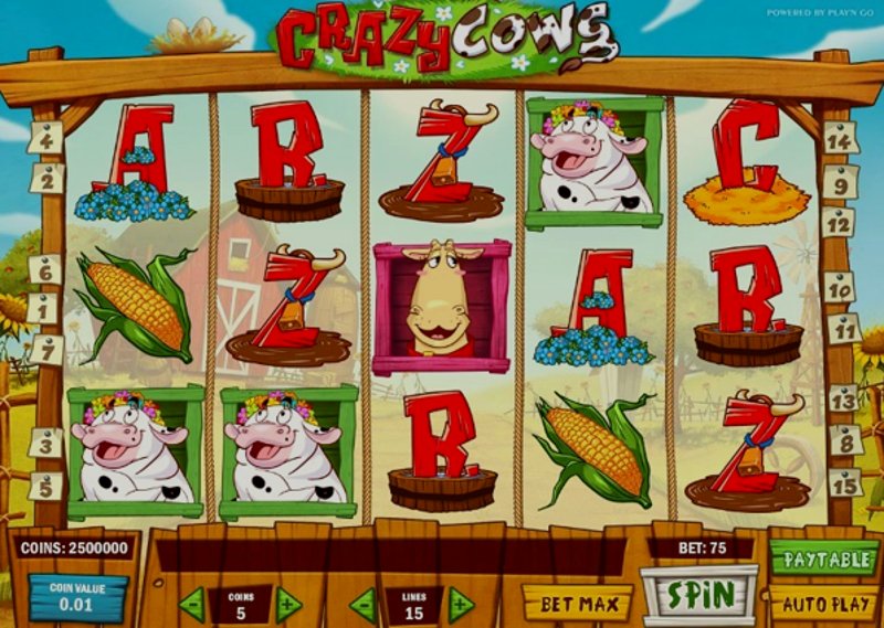 Play Crazy Cows by Playn Go at 1Win Casino