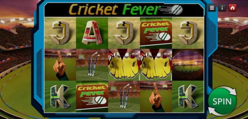 Play Cricket Fever by Genii at 1Win Casino