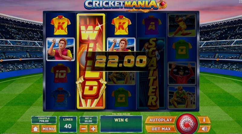 Play Cricket Mania by Tomhorngaming at 1Win Casino