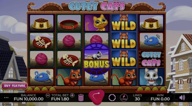 Play Cutey Cats by Caleta at 1Win Casino