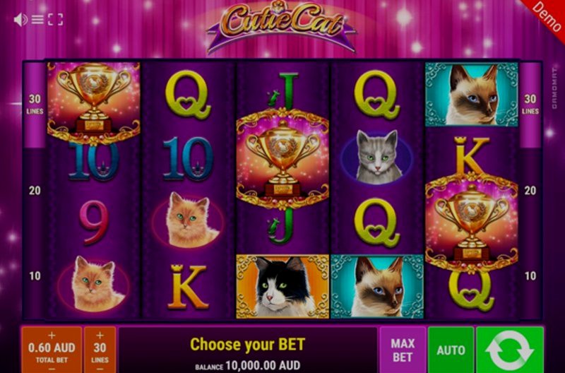 Play Cutie Cat by Gamomat Premium at 1Win Casino