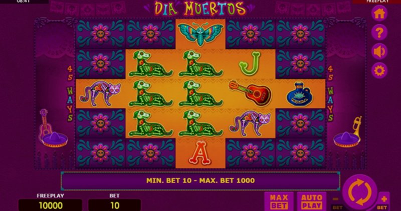 Play Dia Muertos by Amatic at 1Win Casino