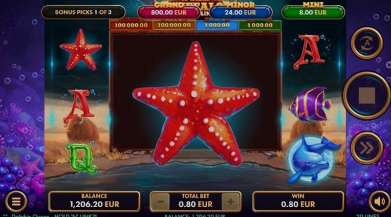 Play Dolphin Queen by Netgame at 1Win Casino