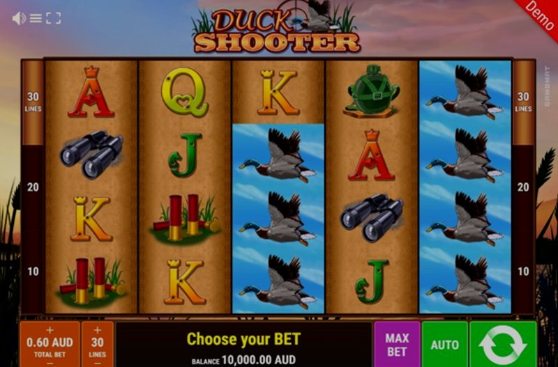 Play Duck Shooter by Gamomat Premium at 1Win Casino