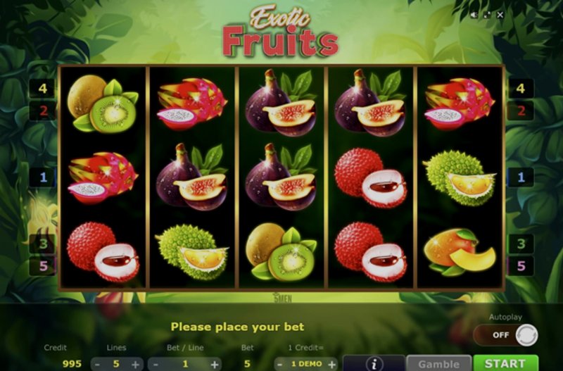 Play Exotic Fruits by 5 Men Gaming at 1Win Casino