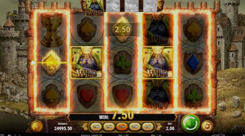 Play Feline Fury by Playn Go at 1Win Casino