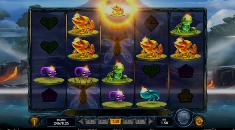 Play Fire Toad by Playn Go at 1Win Casino