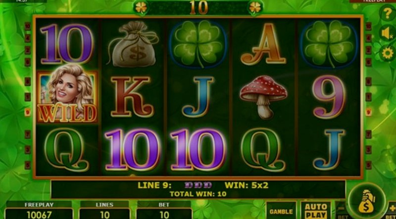 Play Fortune Girl by Microgaming at 1Win Casino