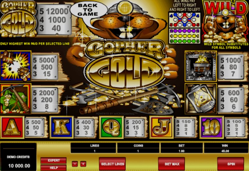 Play Gopher Gold by Microgaming at 1Win Casino