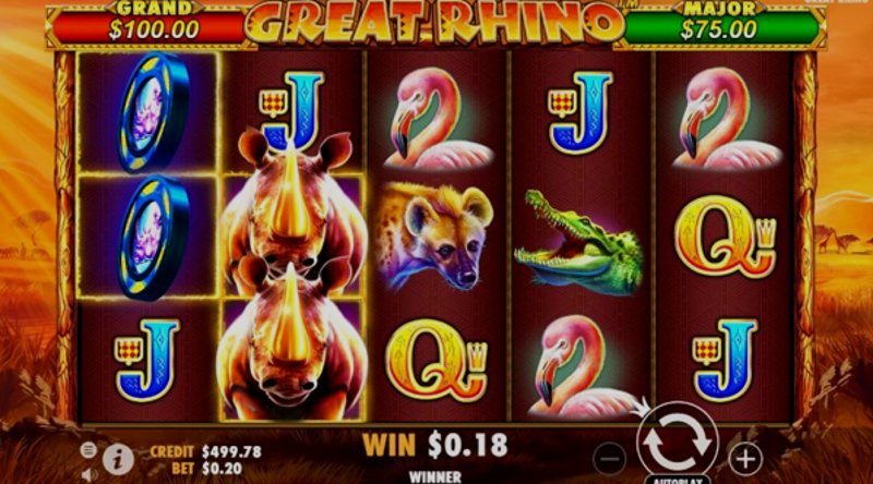 Play Great Rhino by Pragmatic at 1Win Casino