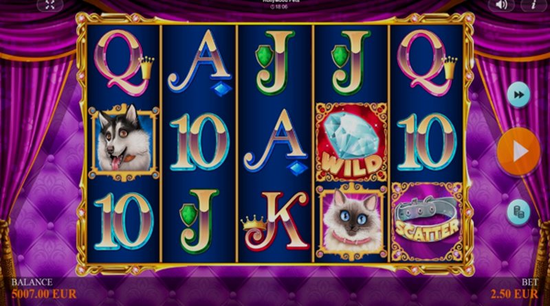 Play Hollywood Pets by Cq9 at 1Win Casino