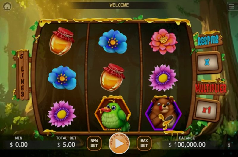 Play Honey Money by Kaga at 1Win Casino