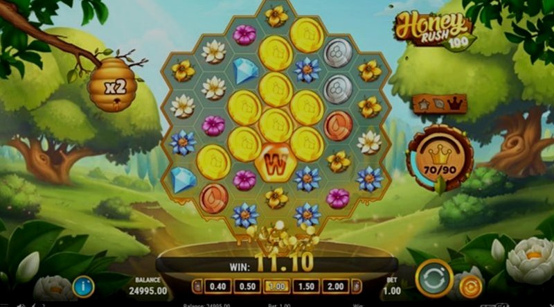 Play Honey Rush 100 by Playn Go at 1Win Casino