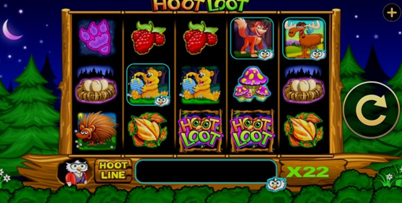 Play Hoot Loot by High5 at 1Win Casino