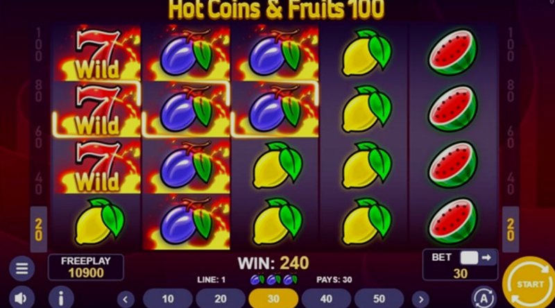 Play Hot Coins & Fruits 100 by 1spin4win at 1Win Casino