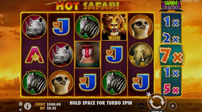 Play Hot Safari by Pragmatic at 1Win Casino