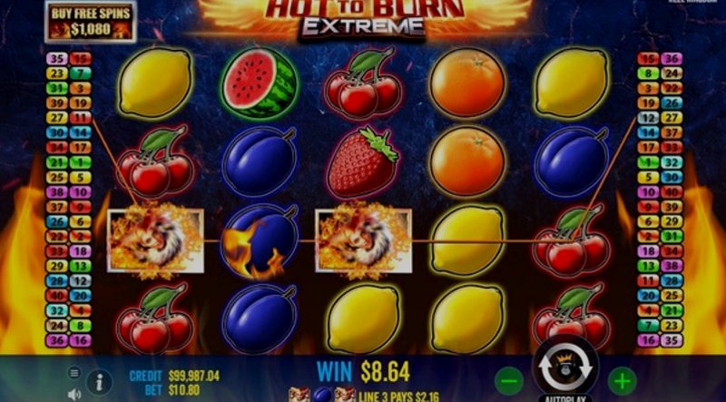 Play Hot To Burn Extreme by Pragmatic at 1Win Casino