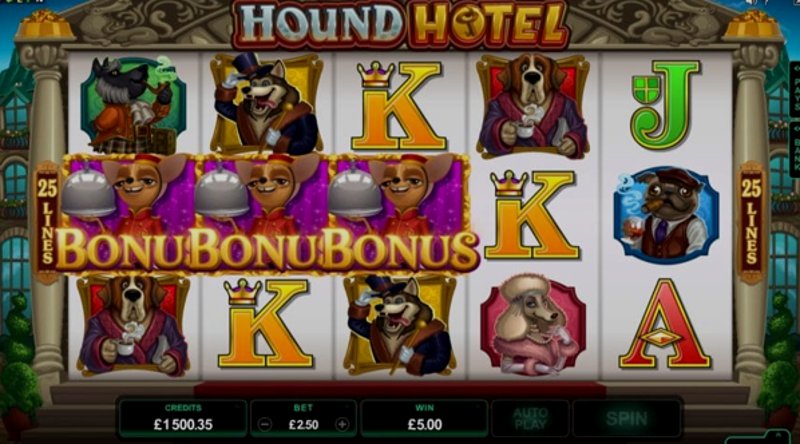 Play Hound Hotel by Microgaming at 1Win Casino